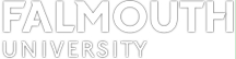 法尔莫斯大学